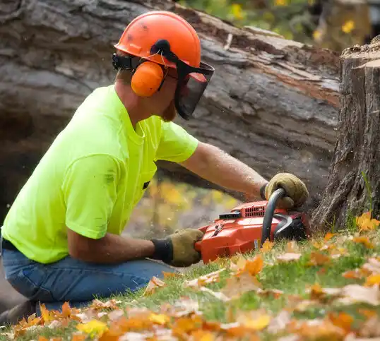 tree services South Heart